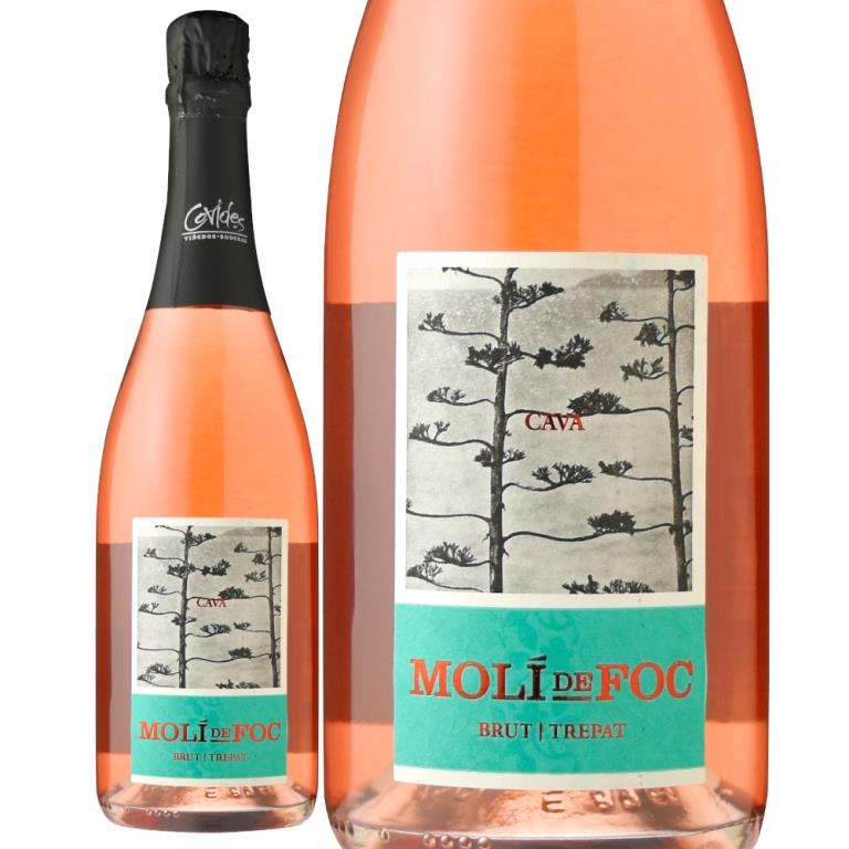 信濃屋直輸入人気No.1スパークリングワイン3本セット | すべての