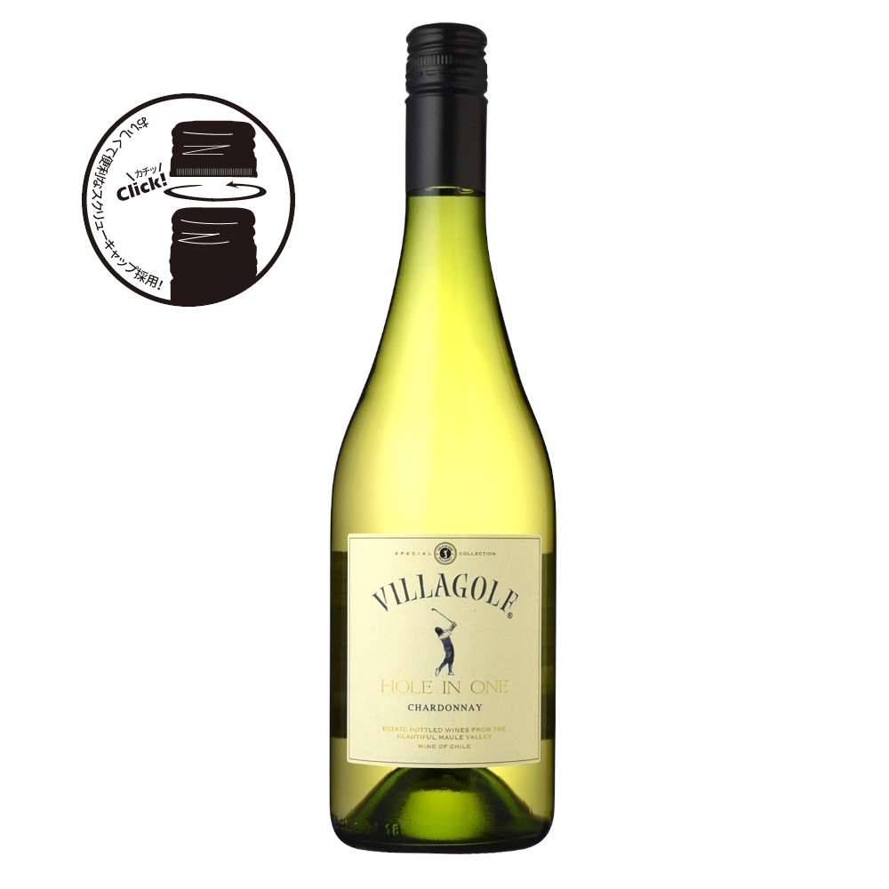 ファンディールNOVA ヴィヴィアン　ホイル　一枚300円 ファンディールNOVA ヴィヴィアン ホイル 一枚300円 ヴェイル | スワン