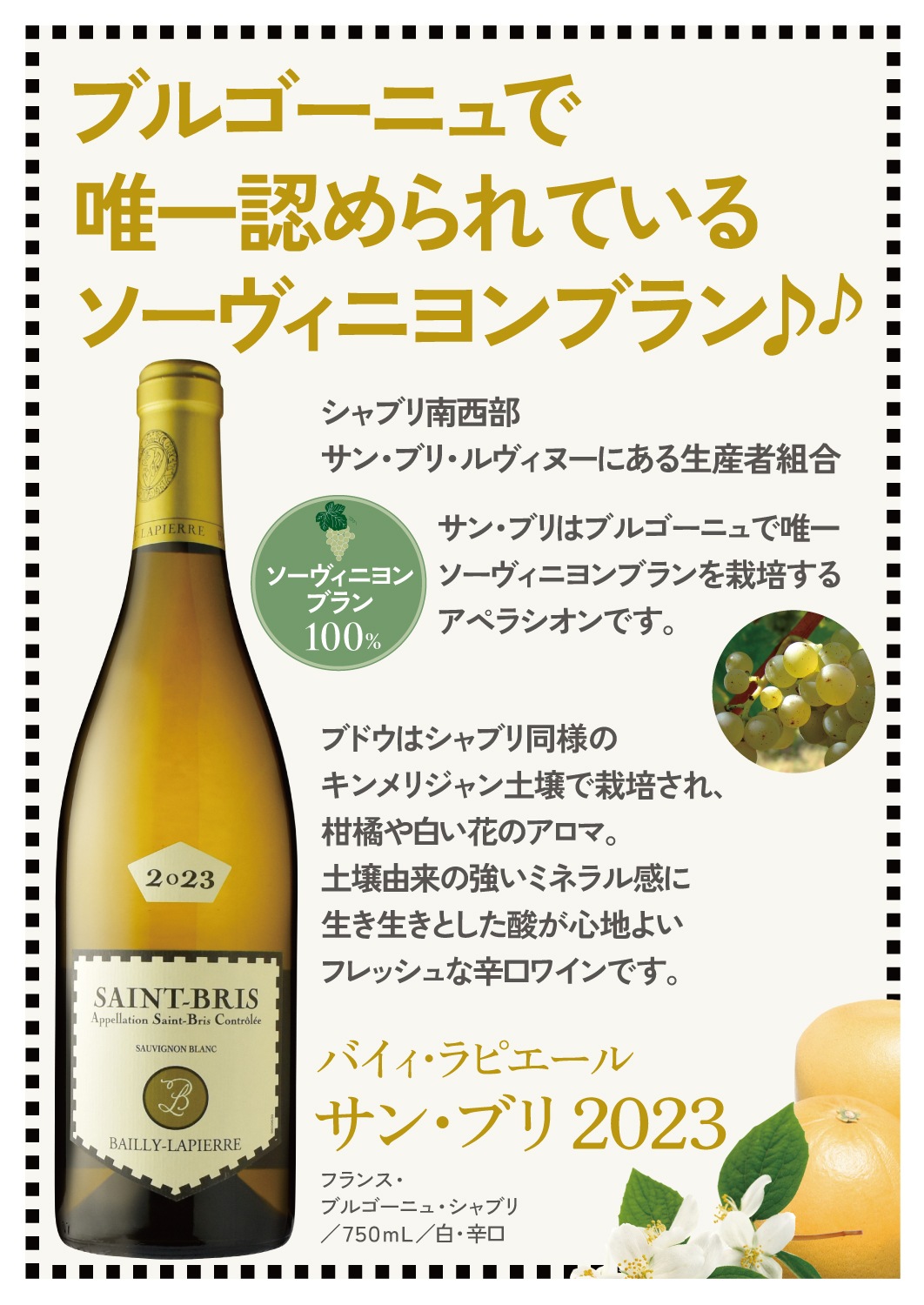 バイィ・ラピエールサン・ブリ [2023] | すべての商品 | 信濃屋の