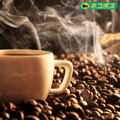 【ネコポス対応】店長お気に入りセット/300g(100g×3袋)