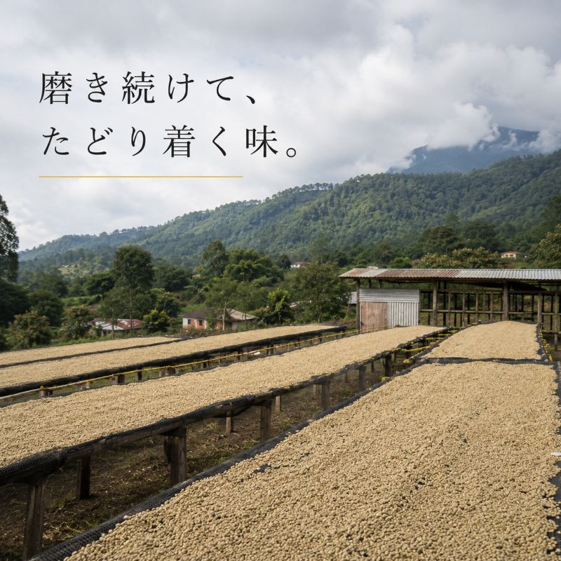 マンデリン・リントン(生豆)1㎏｜焙煎後にお届け【西山珈琲公式通販】