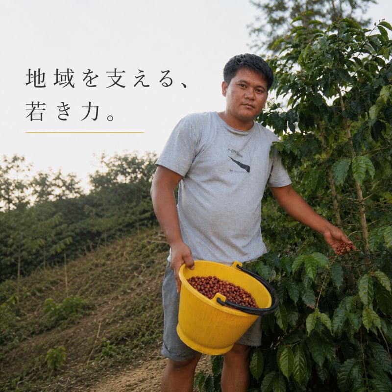 マンデリン・リントン(生豆)1㎏｜焙煎後にお届け【西山珈琲公式通販】