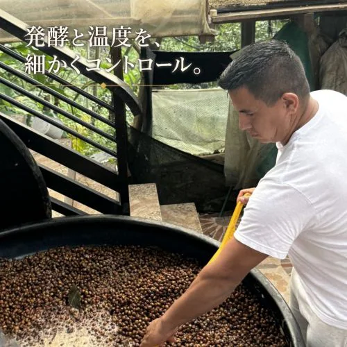 コロンビア・カランボロ(浅煎り)100g｜焙煎後にお届け【西山珈琲公式通販】