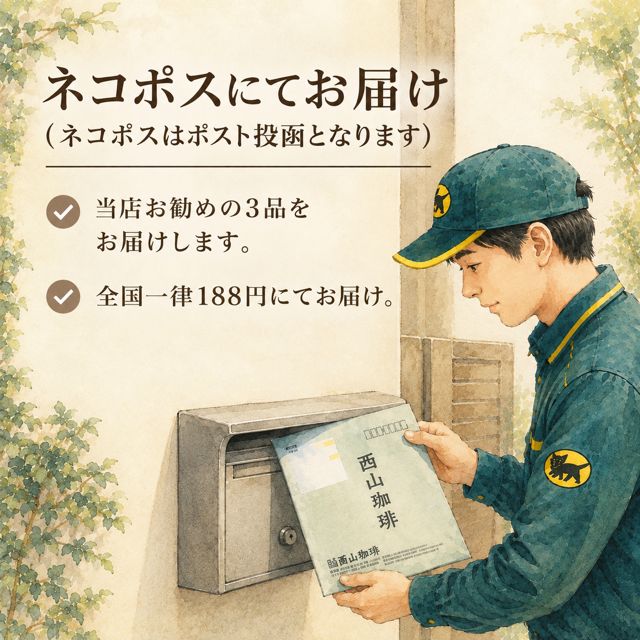 ネコポス対応】ニュークロップセット/300g(100g×3種類)｜焙煎後にお