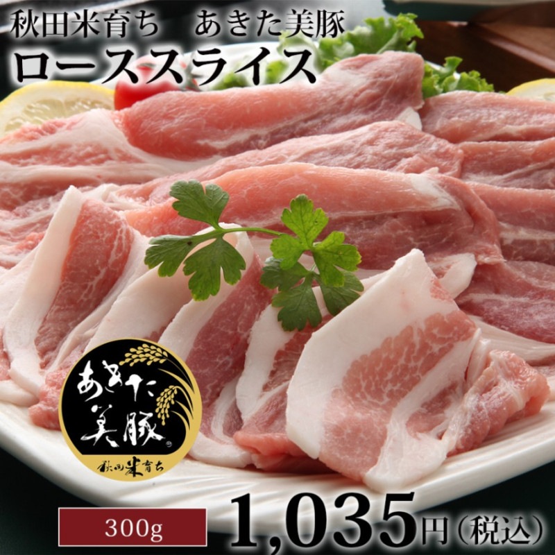 ڥѡʥ饤300