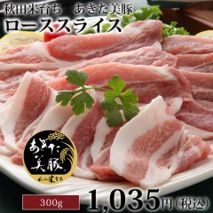ڥѡʥ饤300