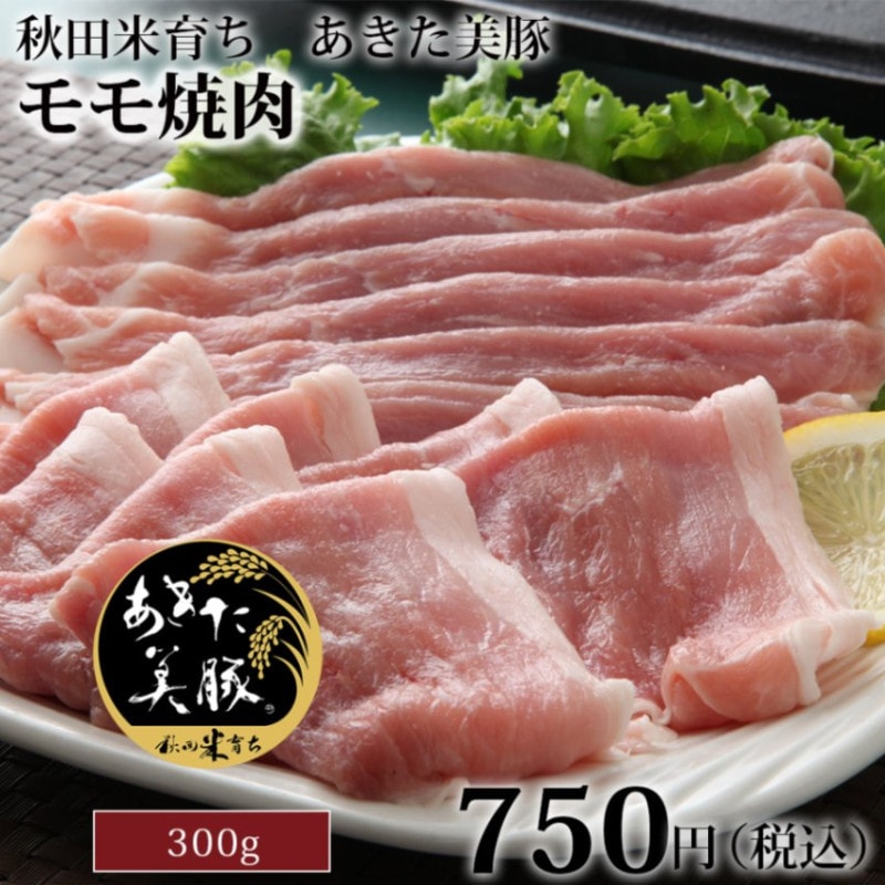 ڥѡʥ饤300