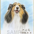 わんちゃんの似顔絵サンプル1 by 雨宮美帆【ペットの似顔絵色紙作成】|ペットの似顔絵色紙を作成する