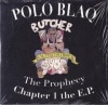 Polo Blaq/The Prophecy Chapter 1 The E.P.