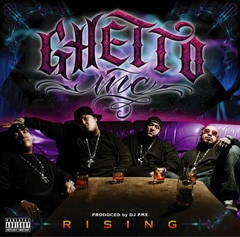 邦楽 stonedz project mega-g dogma 邦楽 mega-g dogma stonedz project cpf WENOD RECORDS