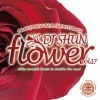 DJ SHUN / FLOWER VOL.17