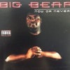 BIG BEAR / NOW OR NEVER