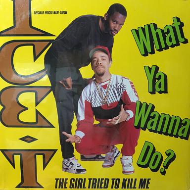 ICE-T / WHAT YA WANNA DO?