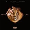 PACIFIC OCEAN RECORDS PRESENTS / STEEZ76D KARMA