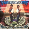 PARTNERS-N-CRIME / WHAT'CHA WANNA DO?