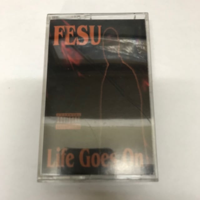 FESU / LIFE GOES ON
