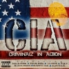 BIG CAT RECORDS / CIA CRIMINAIZ IN ACTION