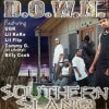 D.O.W.N. / SOUTHERN SLANG