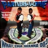 PARTNERS-N-CRIME / WHAT'CHA WANNA DO?