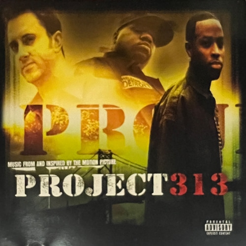 V.A. / PROJECT 313