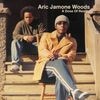 Aric Jamone Woods / A Dose Of Reality