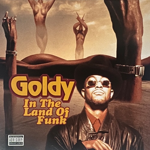 Goldy / In The Land Of Funk