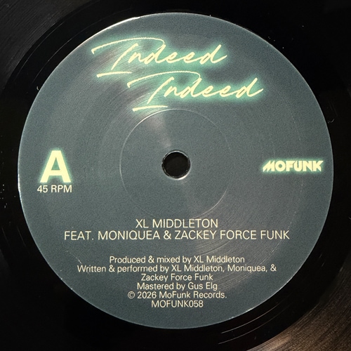 XL MIDDLETON / Indeed Indeed - Take Control Remix (7)