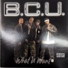 Brothas Comin' Up / What You Want