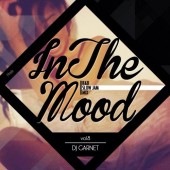 In The Mood Vol.8 / DJ GARNET|MIXCD