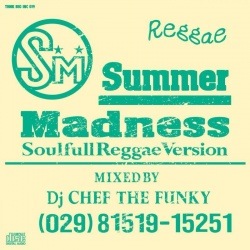 DJ CHEF THE FUNKY / SUMMER MADNESS "Soulful Reggae Version"