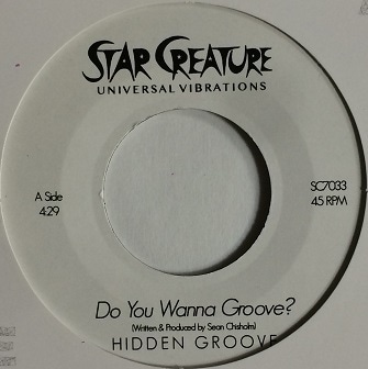 HIDDEN GROOVE / DO YOU WANNA GROOVE?/FUNKIN ALL THE TIME