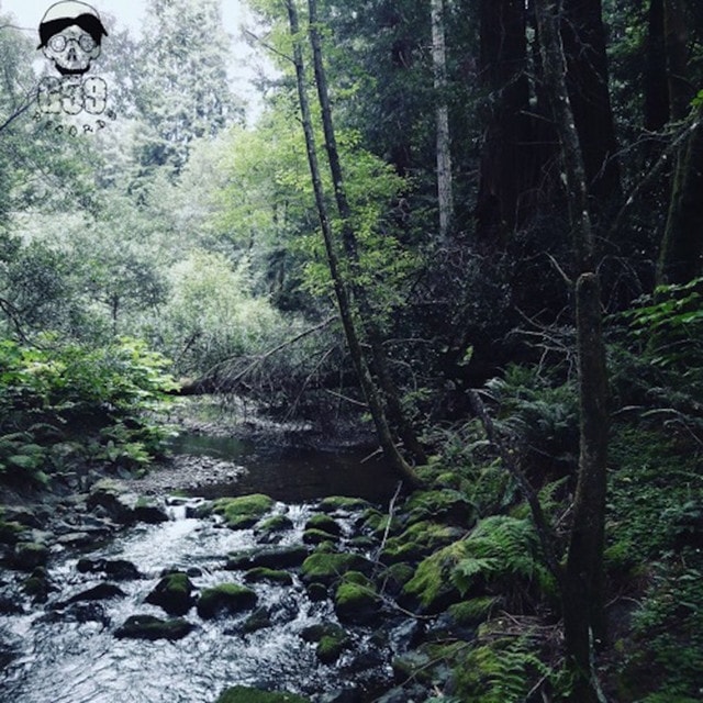 RAMIREZ - Meet Me Where the River Turns Grey