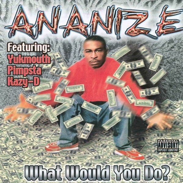 Ananize – What Would You Do?