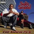 Sylk Smoov – CatAction 25-8