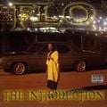 Flo From Mass187 – The Introduction