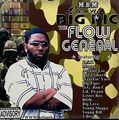 Big Pic – The Flow General