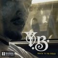 Y.B. – Back 'N Da Dayz