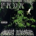 Fada J – Game Recomp