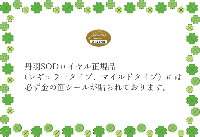 ðSOD롦쥮顼120̾ʡ