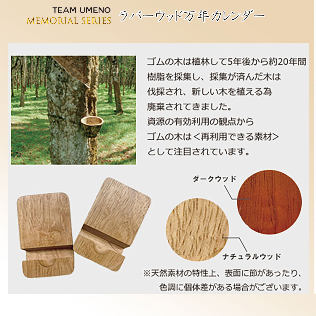 [TU Memorial]Сåǯޤʤʤ