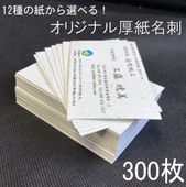 ����˰�����ʬ������Υ��ꥸ�ʥ�̾�ɡ�����åץ����ɡ�55��91�����ˡ�300��