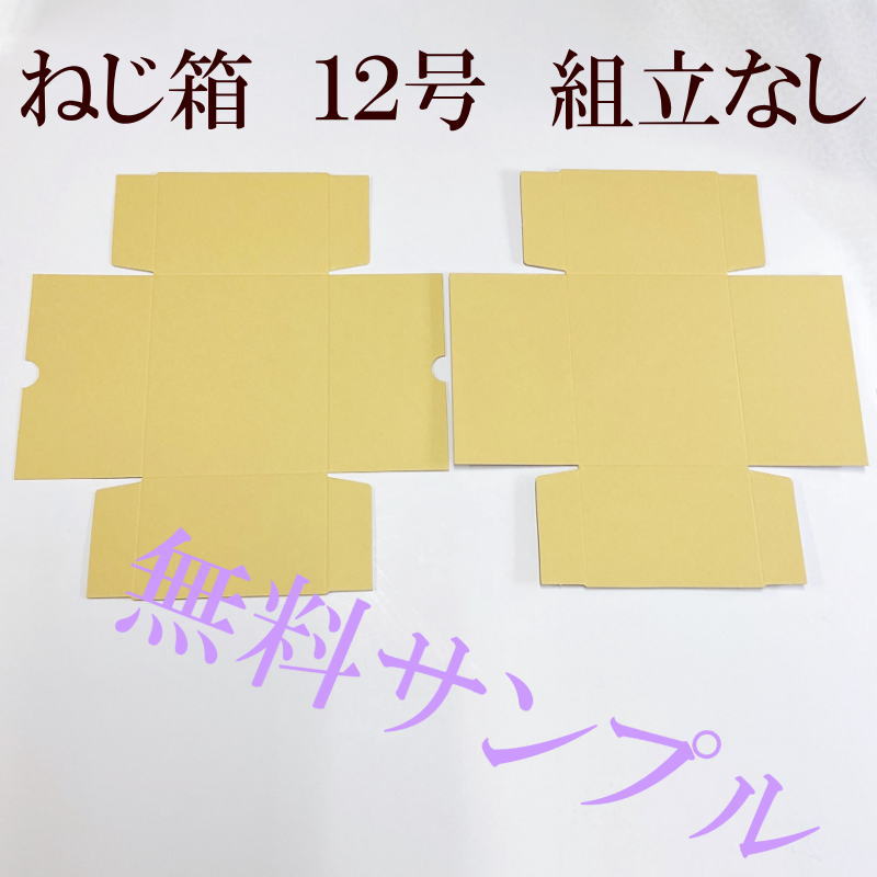 ͤȢ12桡Ωʤ1ġʥץ