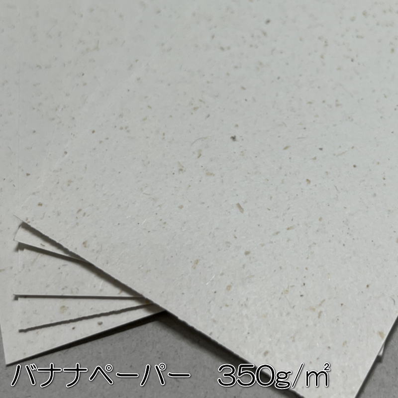 ˰ʬΥꥸʥ̾ɡåץɡ5591ˡ100