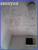 油溶解剤　オイルスカット　１Ｌ×２本|FAX・チラシ掲載商品