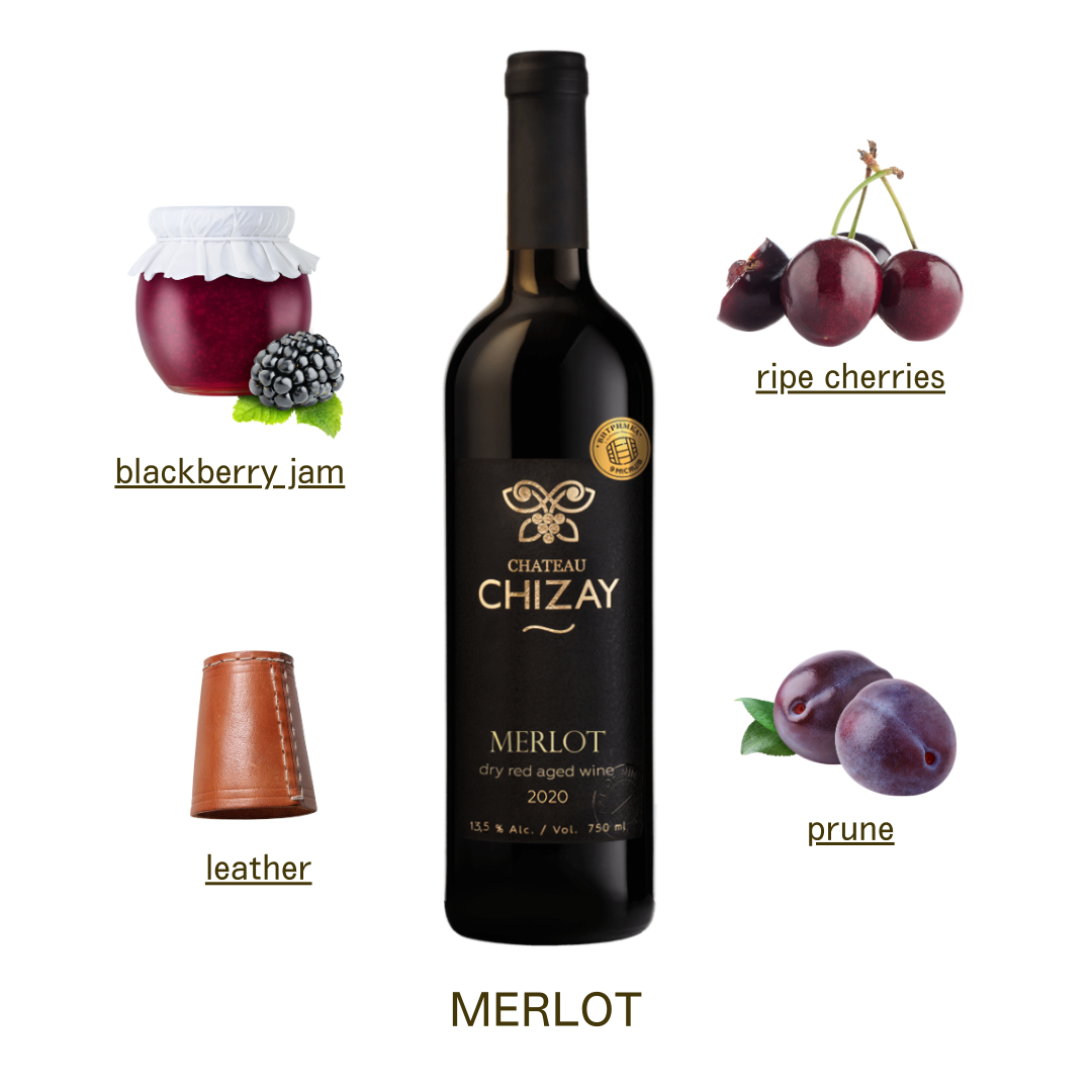 メルロー（赤） /MERLOT｜Vino Pioner ウクライナワイン専門店