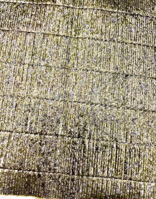 ͭ������̵���� �ƤΤ� �� 20���2��(����40��)���������ꡡ���ݡ��츻