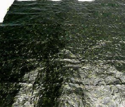 �Ƥ�����  ����ġȢ���ꡡ����̵��(������)