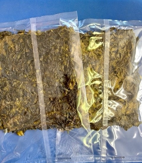 2023ǯ12���ʪ���١��ϤФΤꡡ�������ꡡ����̵��(�ݥ�����ȡ)���Ϥг��ݡ��ϥХΥꡡ�ڹ��� �츻