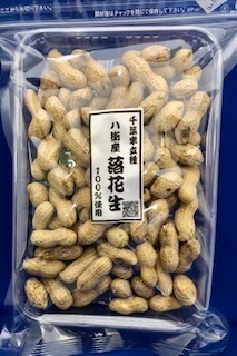 ����Ĥ������ ���ո� Ȭ���� ������ȾΩ���  ��������ߣ�