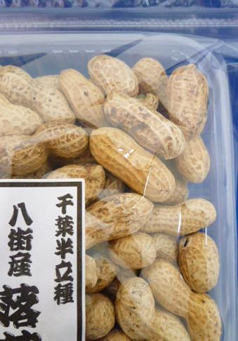 ����Ĥ������ ���ո� Ȭ���� ������ȾΩ���  ��������ߣ�